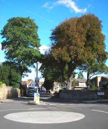 Fig. 11 Looking into the Common Road.