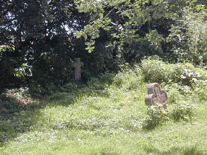 Figure 16. An overgrown group of gravestones in the south-east corner