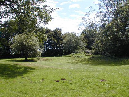 Figure 17. Earthworks marking the position of the church