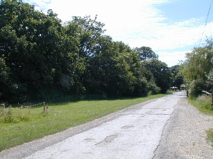 Figure 9. The approach along Shopland Hall Road. The churchyard lies behind the tall hedge on the left