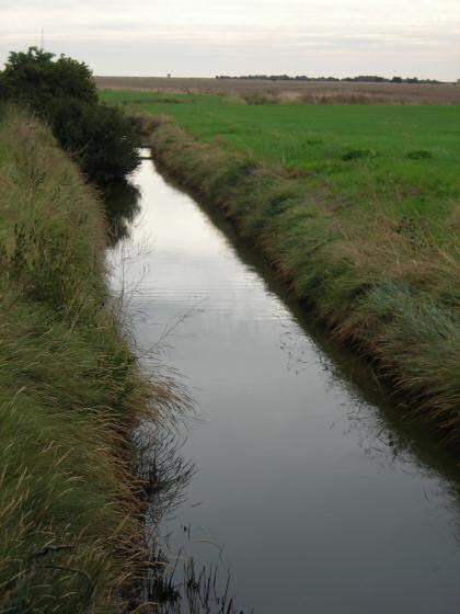Fig. 2 Drainage ditch looking east from Old Hall Farm.