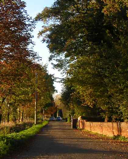 Fig. 13 Looking west with the tree-lined south side of the road left and the churchyard wall right.