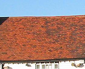 Figure 16: Natural colour variation in handmade clay roof tiles on The Barge Inn.