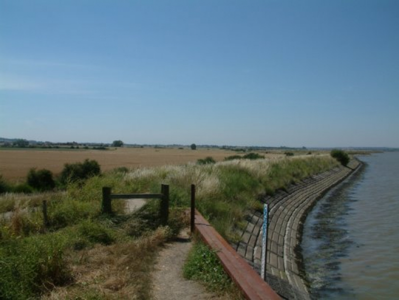 Image of rural walkway by a river
